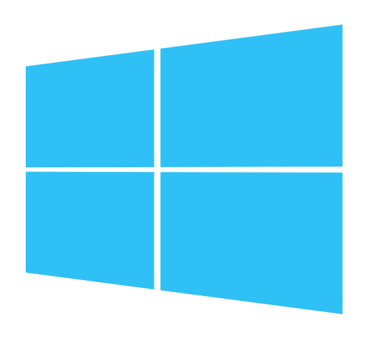 Windows Server Logo